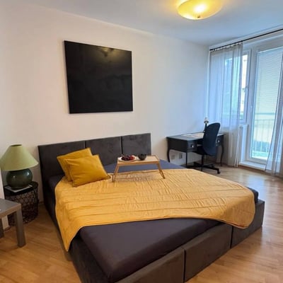 Rental of a spacious 3-room apartment, 105 m², Staré Mesto, Bratislava, Slovakia